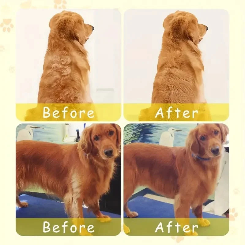3-in-1 Electric Pet Grooming Brush with Spray for Dogs and Cats