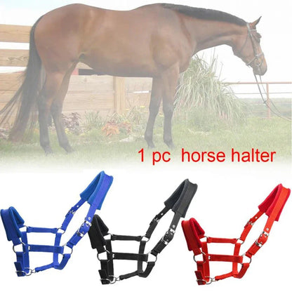 Padded Pony Horse Halter and Bridle for Riding