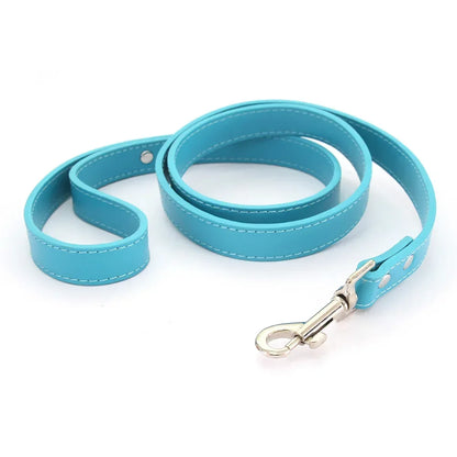 Colorful Leather Leashes for Small to Large Dogs and Cats
