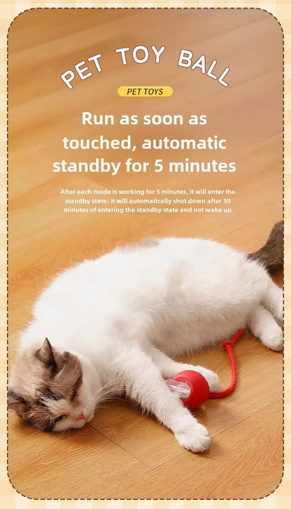 Rechargeable Electric Interactive Ball for Dogs and Cats