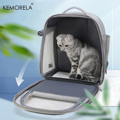 Large Transparent Pet Backpack for Cats and Dogs