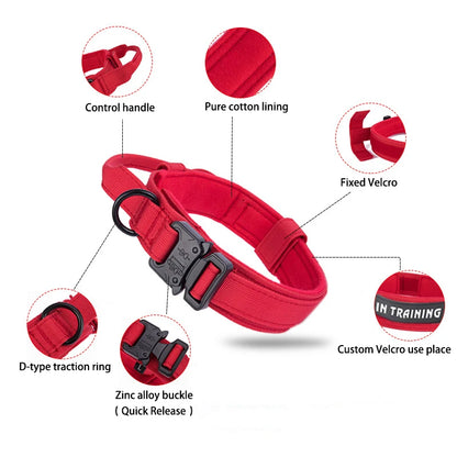 Durable Nylon Dog Collar and Reflective Leash Set