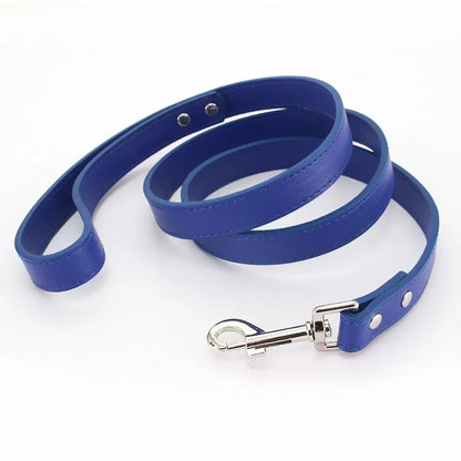 Colorful Leather Leashes for Small to Large Dogs and Cats