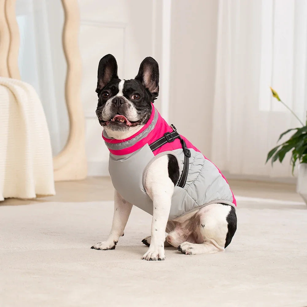 Waterproof Winter Dog Jacket with Harness for Small to Large Breeds