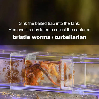 Acrylic Worm Catcher Trap for Freshwater and Saltwater Aquariums