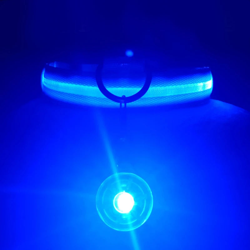 LED Light-Up Dog Collar for Night Safety - USB Rechargeable