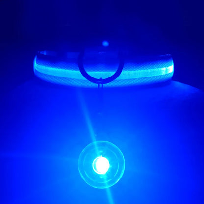LED Light-Up Dog Collar for Night Safety - USB Rechargeable