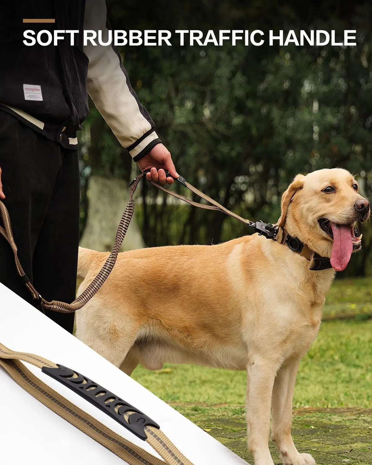 Heavy Duty Bungee Dog Leash with Car Seatbelt for Large Dogs