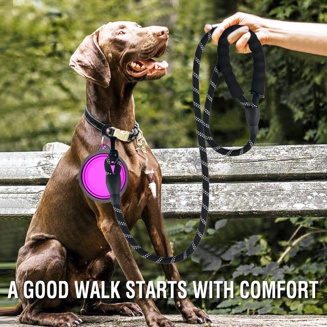 Reflective Dog Leash for All Sizes - Durable & Safe