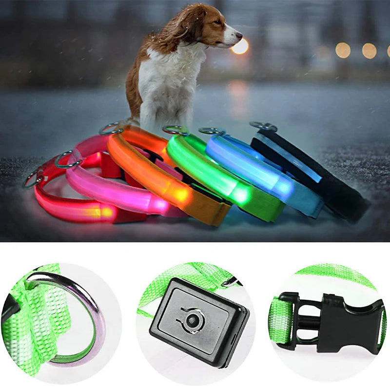 LED Light-Up Dog Collar for Night Safety - USB Rechargeable