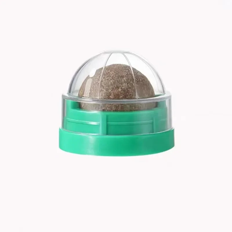 Natural Catnip Wall Ball Toy for Healthy Digestion