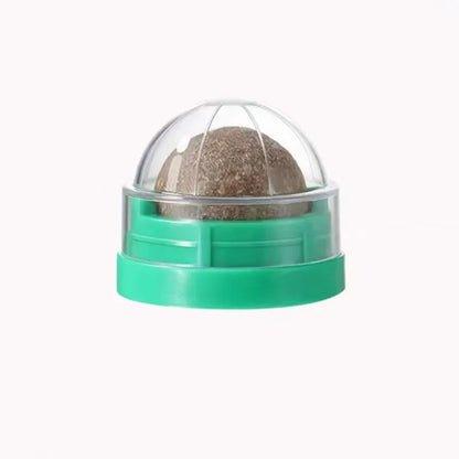Natural Catnip Wall Ball Toy for Healthy Digestion