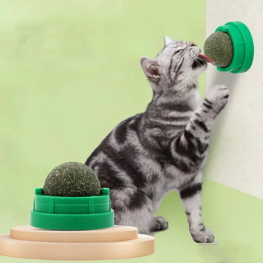 Natural Catnip Wall Ball Toy for Healthy Digestion