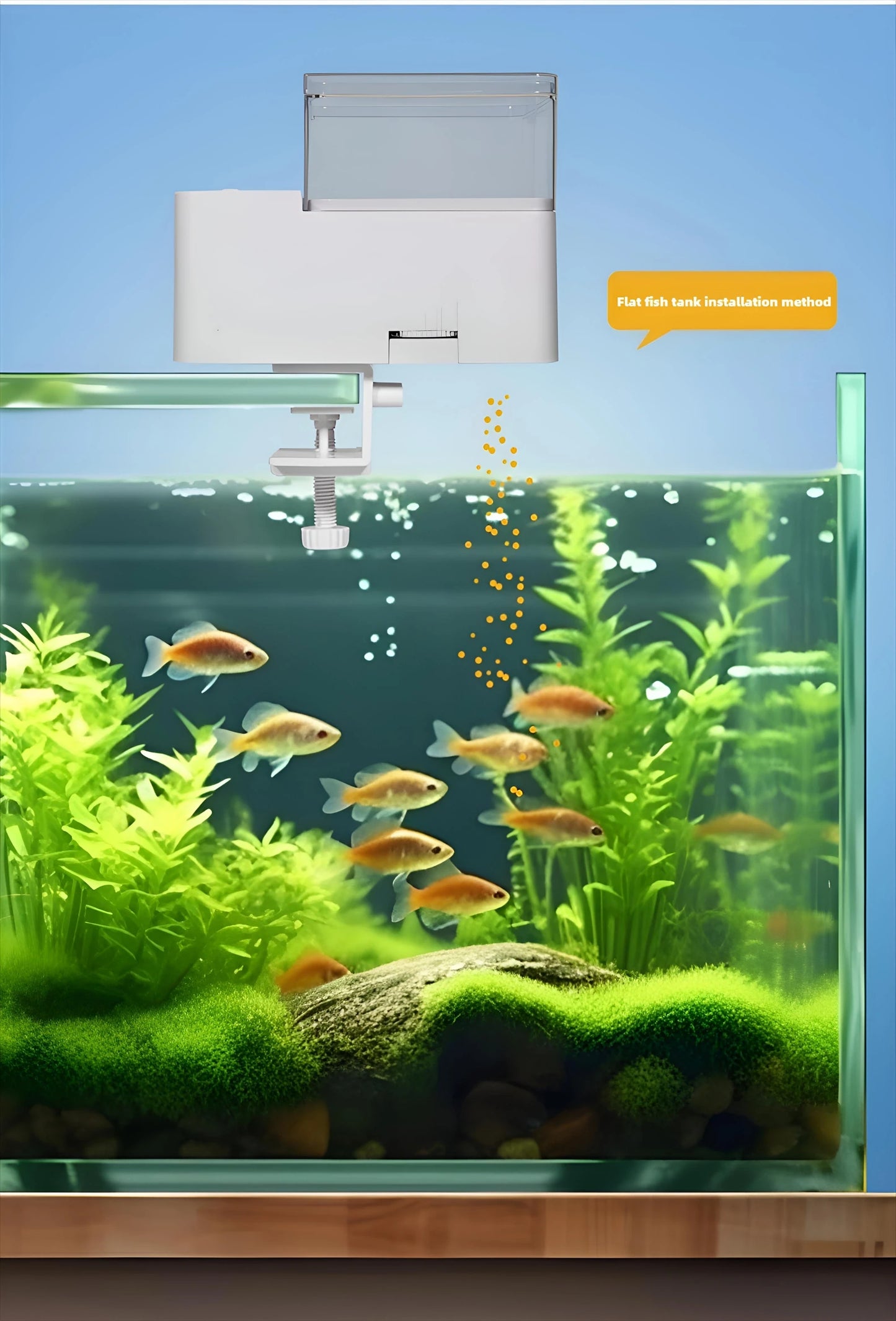 Smart Fish Feeder with Timer - Perfect for Fish and Turtles
