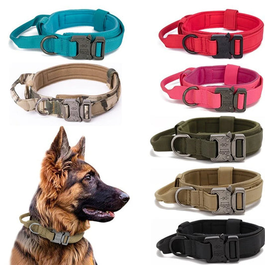 Durable Nylon Dog Collar and Reflective Leash Set