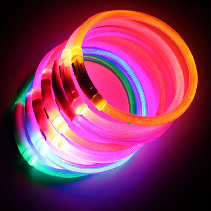 LED Glowing USB Rechargeable Pet Safety Collar for Dogs and Cats