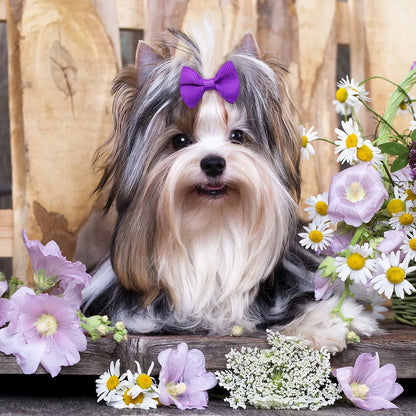 20pcs Handmade Solid Dog Hair Bows for Small Dogs