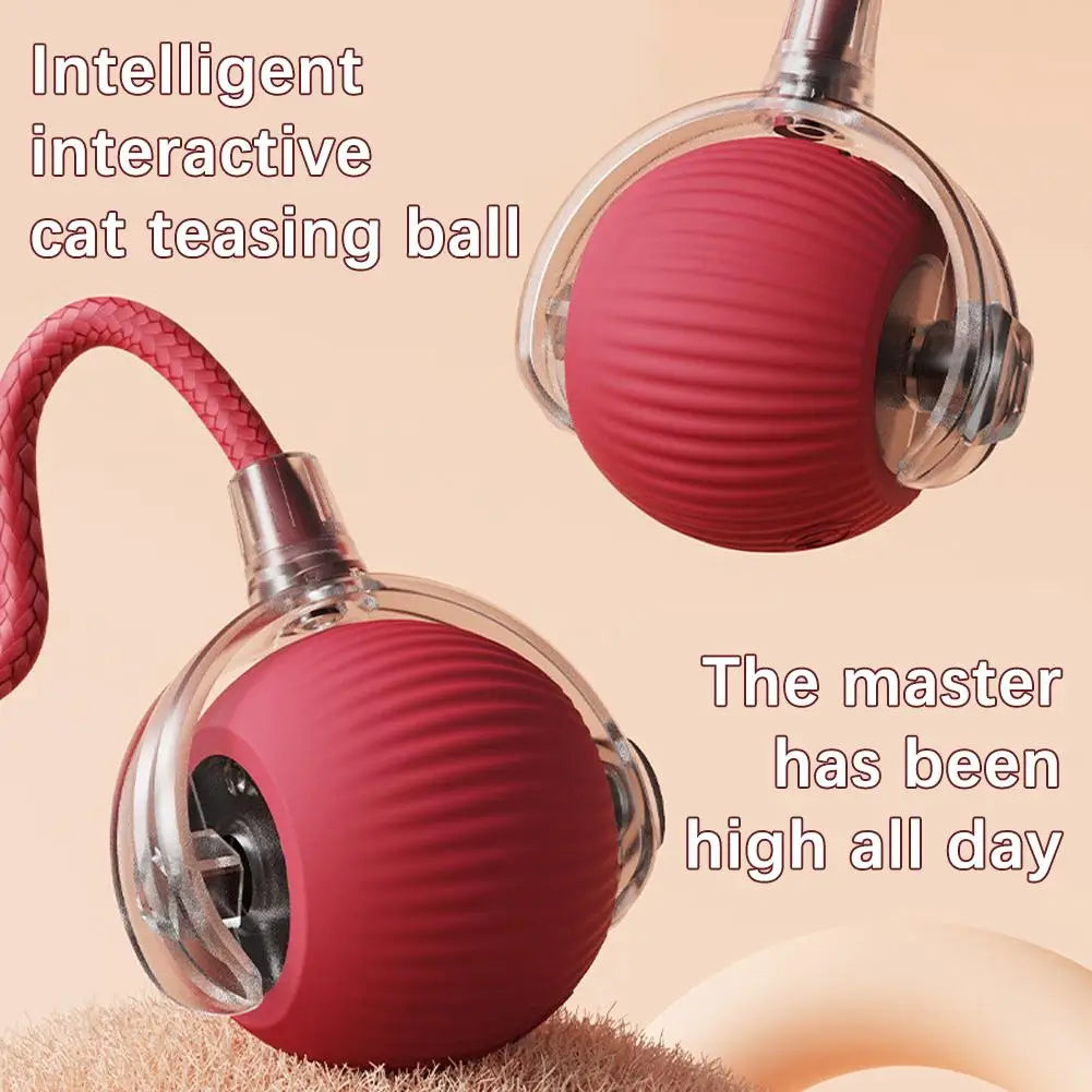 Rechargeable Interactive Cat Ball Toy with Faux Tail