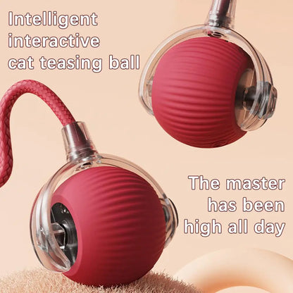 Rechargeable Interactive Cat Ball Toy with Faux Tail