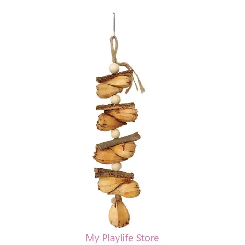 Colorful Parrot Beak Grinding Toy for Health and Fun