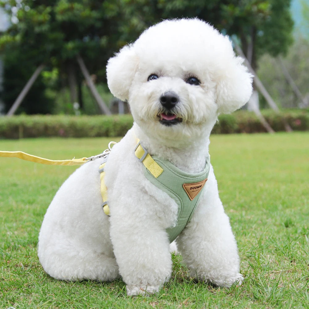 Adjustable Harness and Leash Set for Small Dogs and Cats
