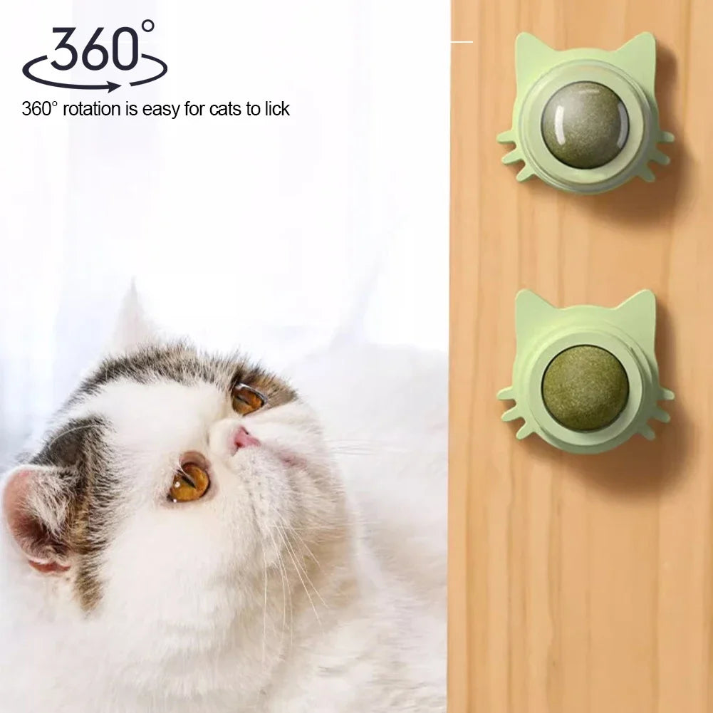Catnip Lollipop Treat for Dental Care and Fresh Breath