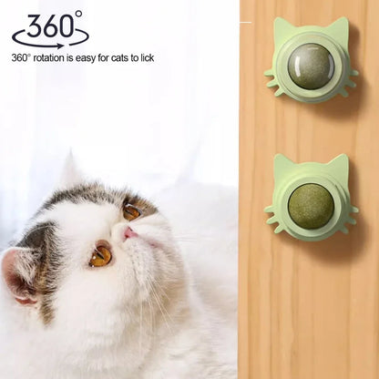 Catnip Lollipop Treat for Dental Care and Fresh Breath