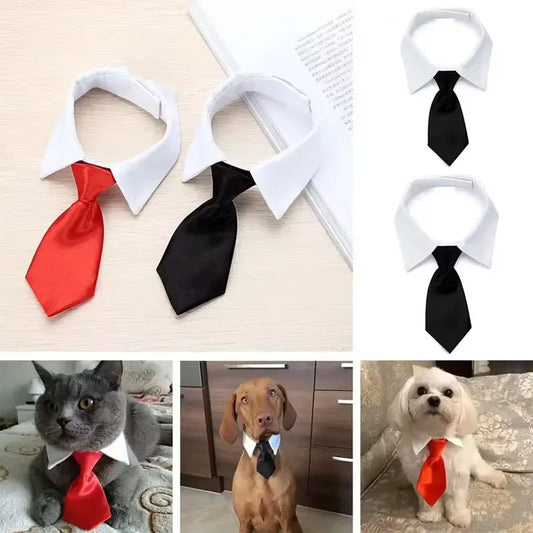 Formal Bow Tie Collar for Dogs and Cats - Wedding & Party Accessory
