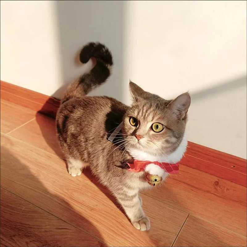 Festive Cat Scarf with Bell Necklace for Holiday Photoshoots