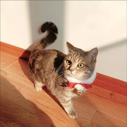 Festive Cat Scarf with Bell Necklace for Holiday Photoshoots
