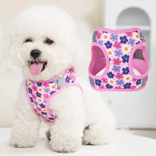 Printed 360° Fit Pet Harness with 1.5m Leash for Dogs & Cats