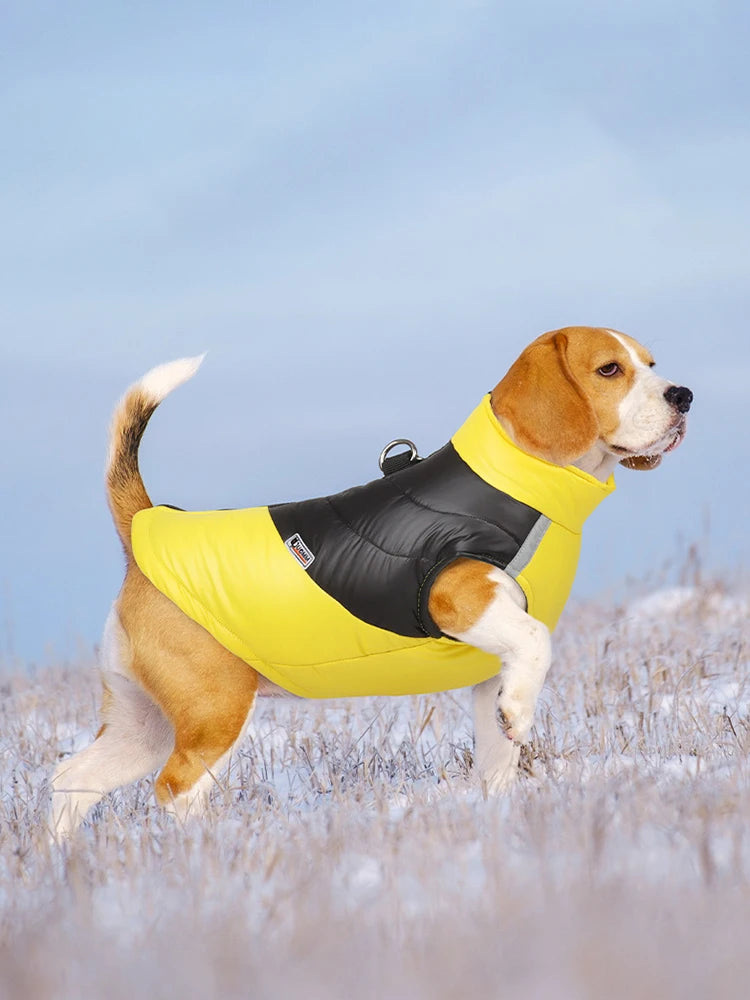 Waterproof Winter Dog Jacket for Small & Large Dogs