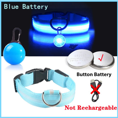 LED Light-Up Dog Collar for Night Safety - USB Rechargeable