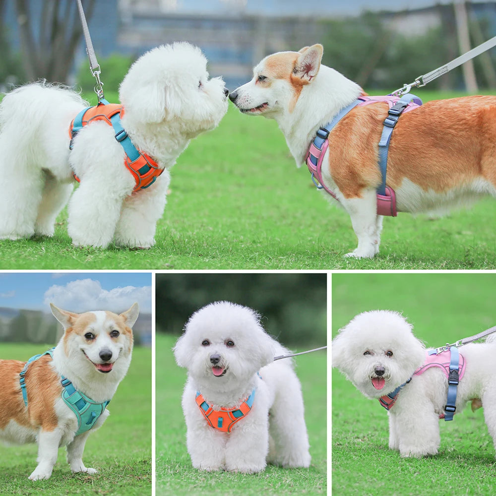 Breathable Reflective Dog Harness - Adjustable for All Sizes