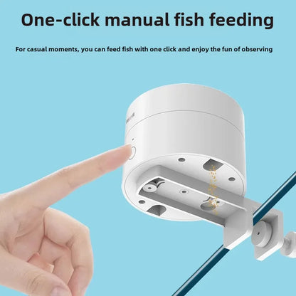 Timed Fish Feeder for Small Tanks - Clog-Free Design
