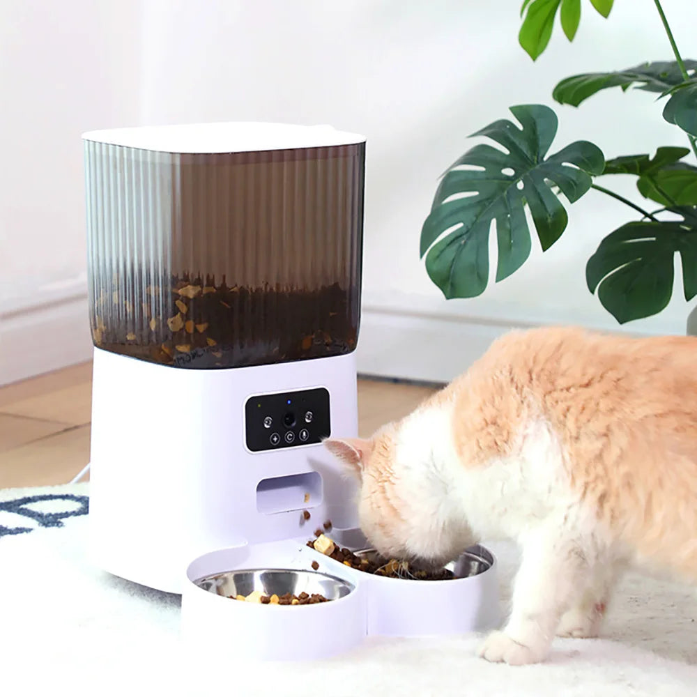 Automatic Cat Feeder with Camera and Voice Recorder