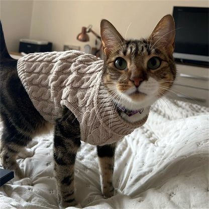 Knitted Sweaters for Small Dogs and Cats in Autumn/Winter
