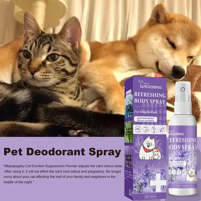 Lavender Oil Pet Deodorizer Spray for Dogs and Cats