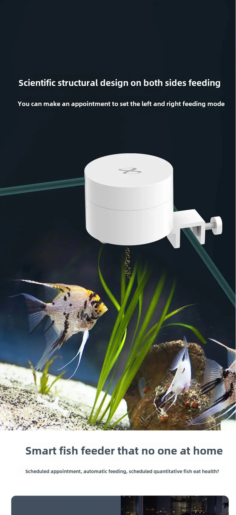 Timed Fish Feeder for Small Tanks - Clog-Free Design