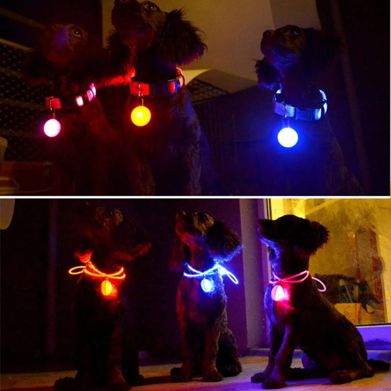 LED Light-Up Dog Collar for Night Safety - USB Rechargeable