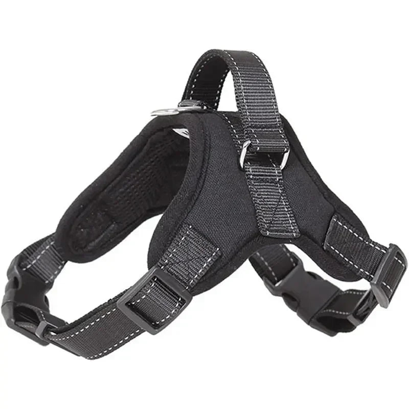 Adjustable Dog Harness and Leash Set for Small to Medium Dogs