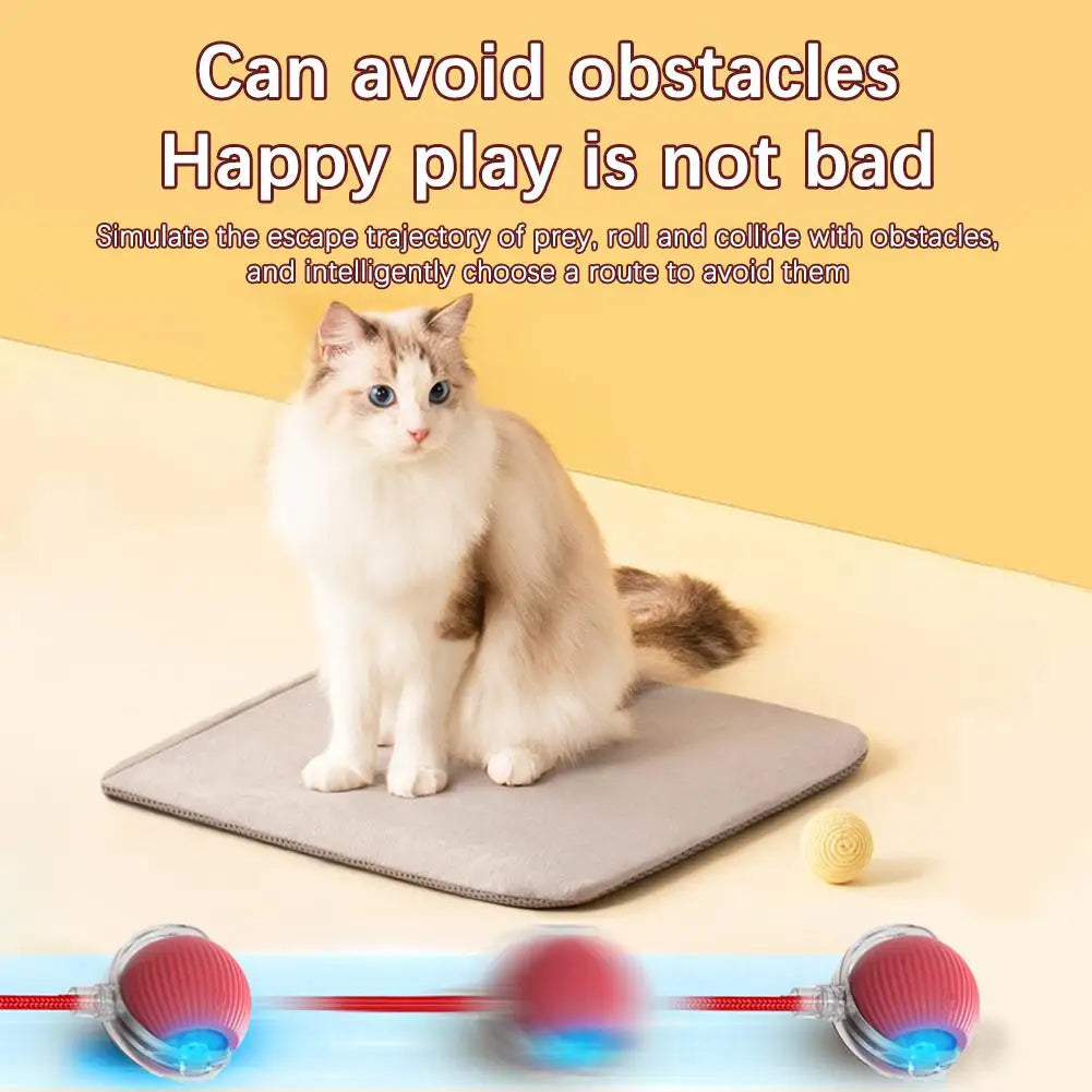 Rechargeable Interactive Cat Ball Toy with Faux Tail