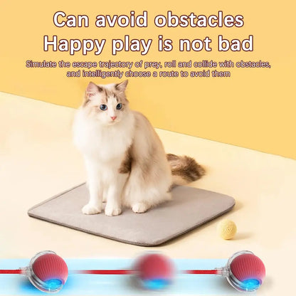 Rechargeable Interactive Cat Ball Toy with Faux Tail