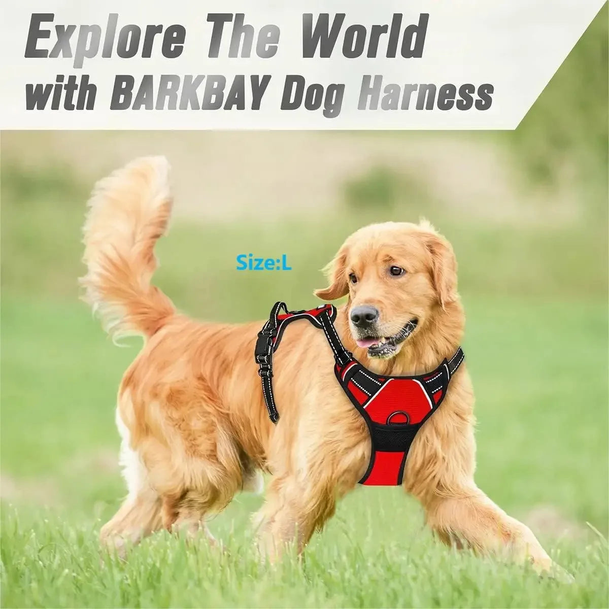 Leather Dog Collars and Harness Set for Medium and Small Dogs