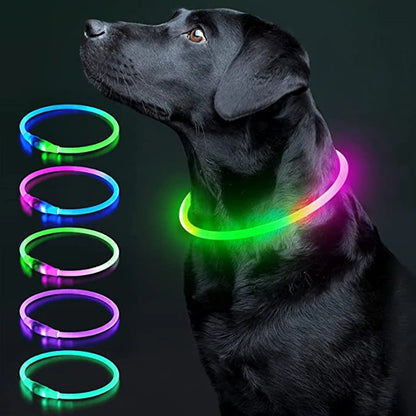 LED Glowing USB Rechargeable Pet Safety Collar for Dogs and Cats