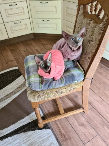 Sphynx Cat Sweater and Hoodie Outfit for Pets