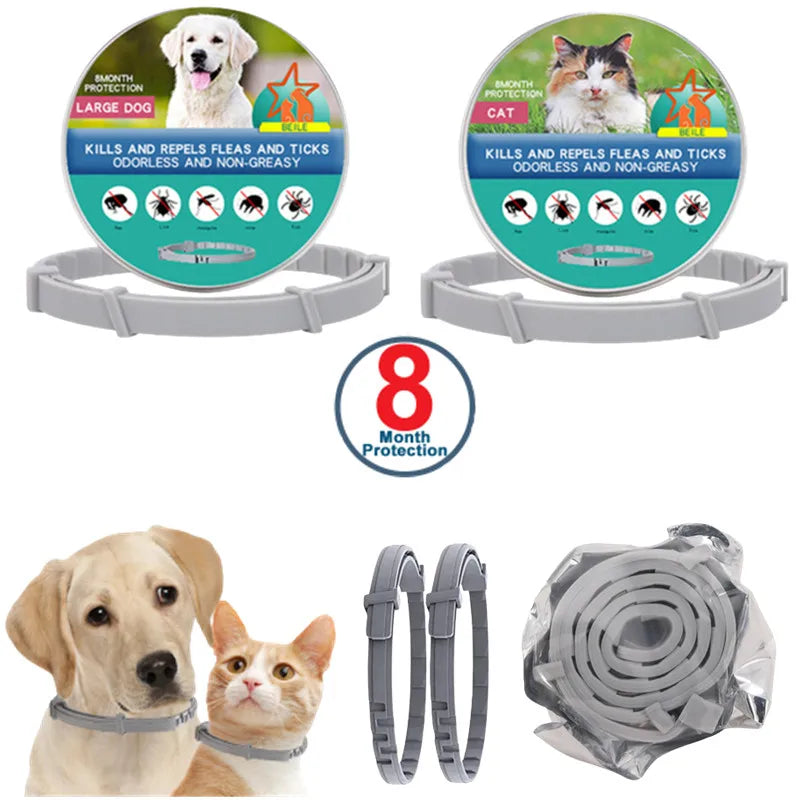 LED Glowing USB Rechargeable Pet Safety Collar for Dogs and Cats