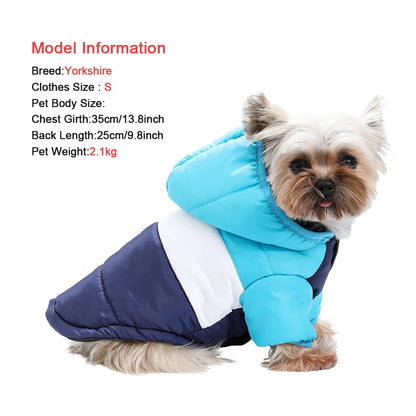 Waterproof Windproof Dog Hoodie for Small Dogs and Cats