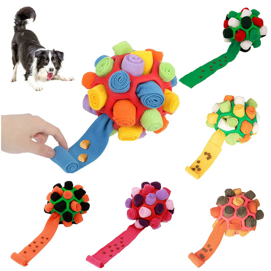 Sniffing Ball for Dogs - Chew and Training Toy