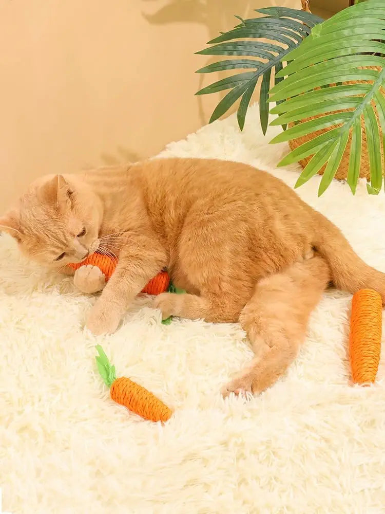 Carrot Teething Sticks for Cats - Bite & Scratch Resistant